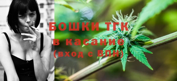 амф Горнозаводск