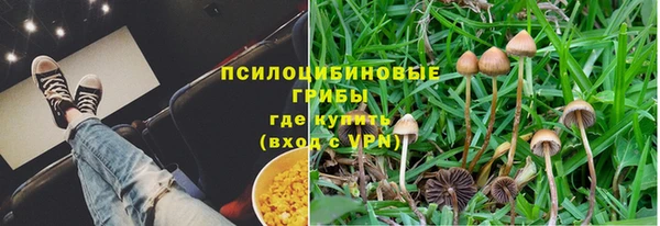 амф Горнозаводск